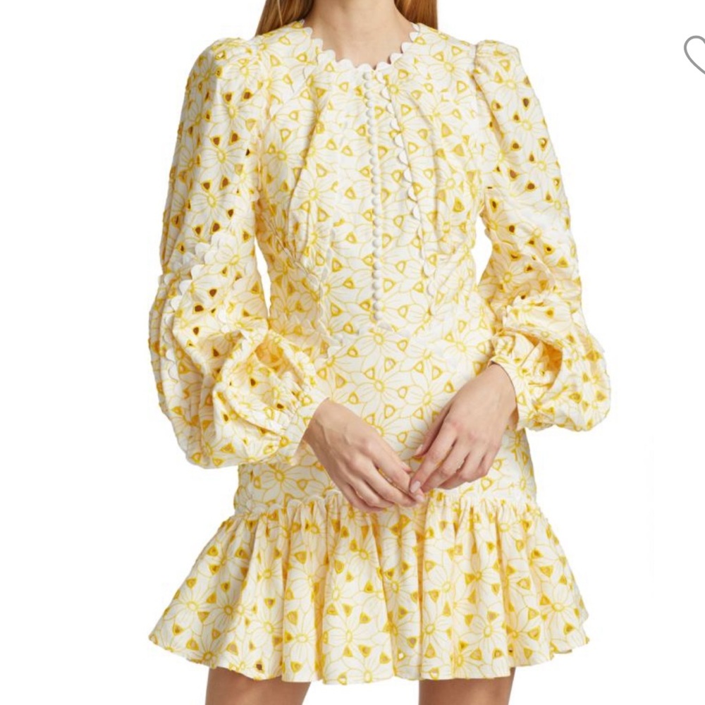 ACLER Walker Embroidered Cotton Mini Dress
